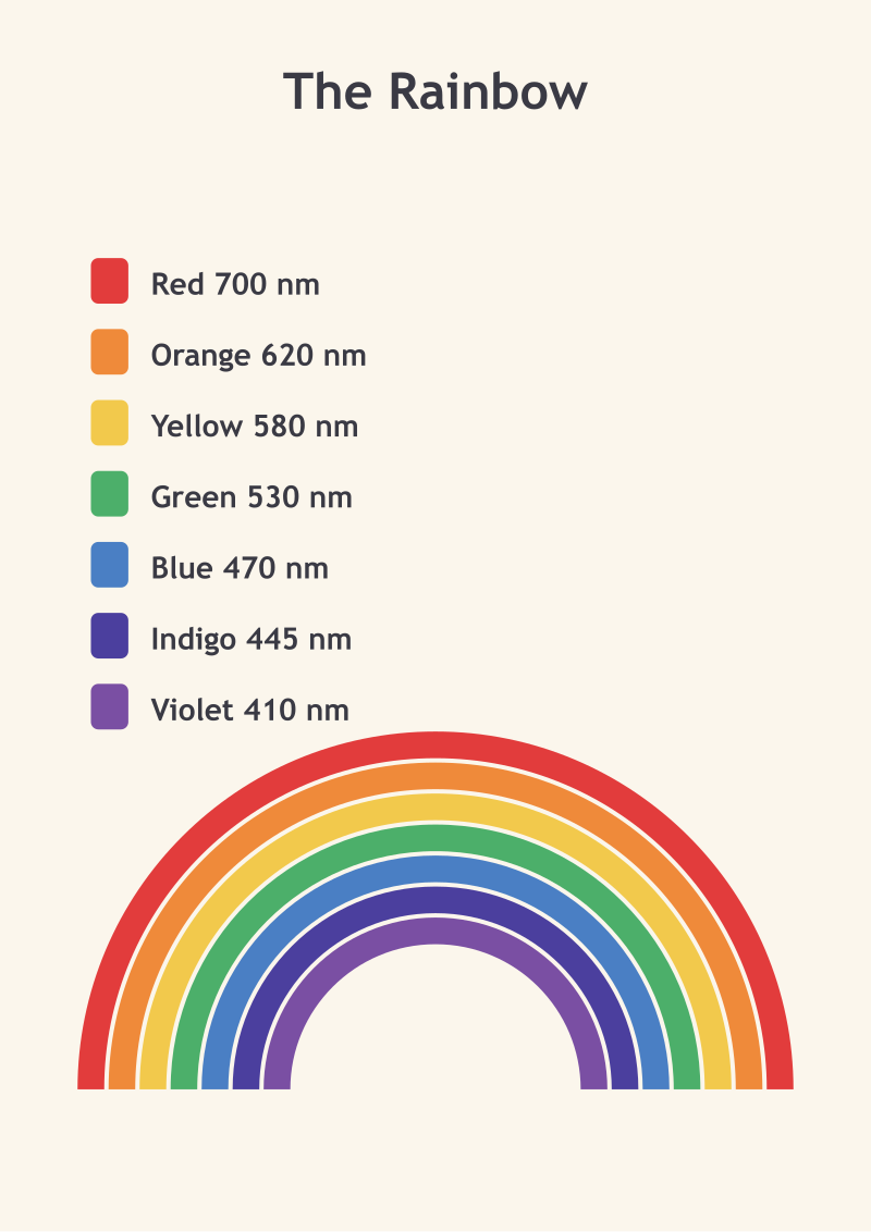 The Rainbow